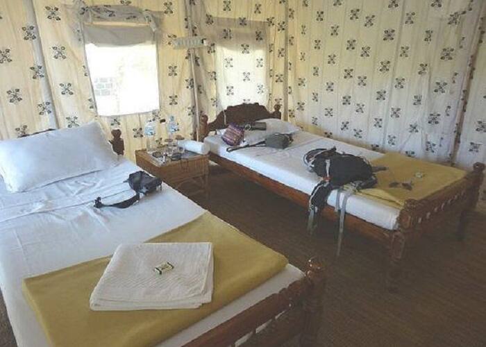 Suryanelli Camp, Munnar 5